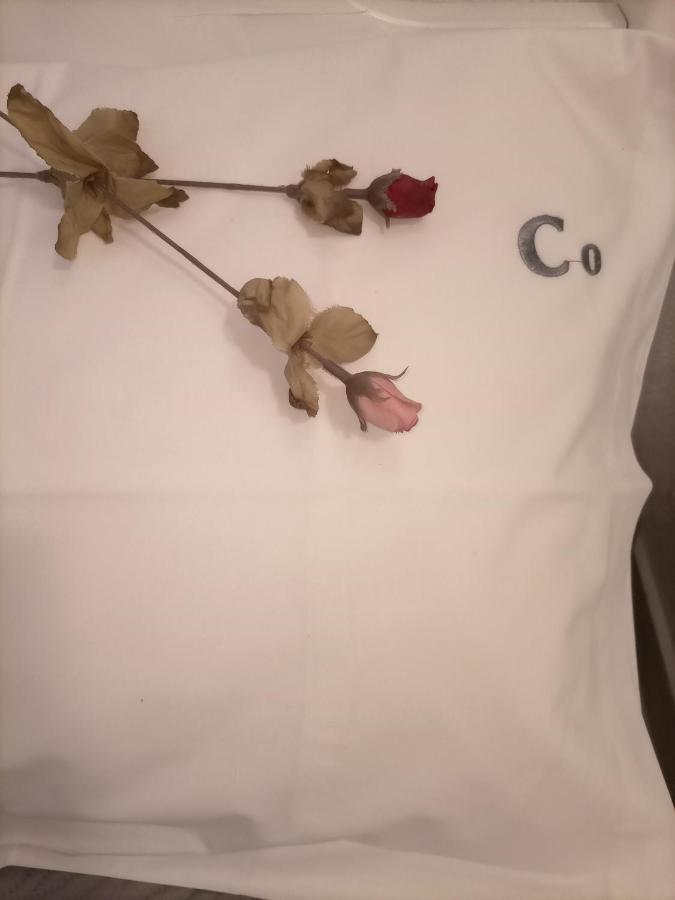 شقة Lilac Studio كافالا المظهر الخارجي الصورة